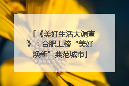 《美好生活大调查》：合肥上榜“美好焕新”典范城市