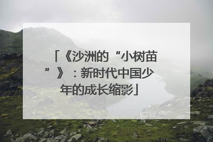 《沙洲的“小树苗”》：新时代中国少年的成长缩影