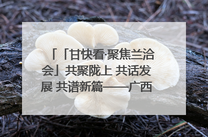 「甘快看·聚焦兰洽会」共聚陇上 共话发展 共谱新篇——广西贵州重点企业“请进来”招商推介会扫描