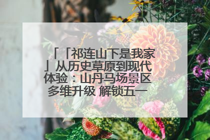 「祁连山下是我家」从历史草原到现代体验：山丹马场景区多维升级 解锁五一文旅新玩法