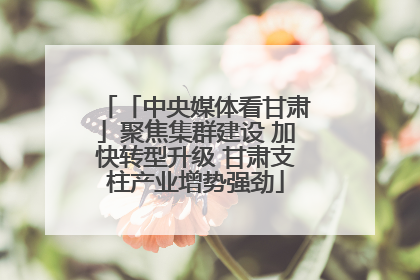 「中央媒体看甘肃」聚焦集群建设 加快转型升级 甘肃支柱产业增势强劲