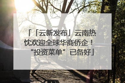 「云新发布」云南热忱欢迎全球华商侨企！“投资菜单”已备好