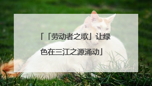 「劳动者之歌」让绿色在三江之源涌动