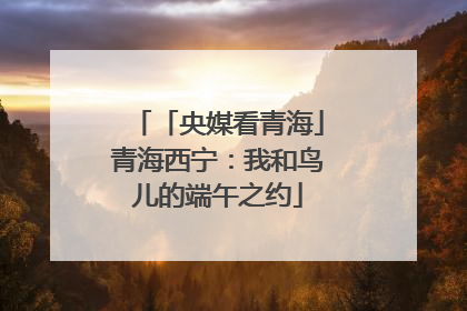 「央媒看青海」青海西宁：我和鸟儿的端午之约