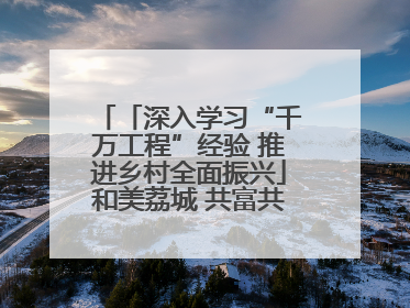 「深入学习“千万工程”经验 推进乡村全面振兴」和美荔城 共富共美 荔城区扎实推进乡村振兴工作