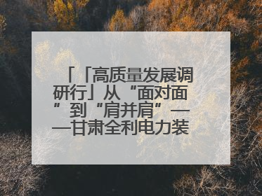 「高质量发展调研行」从“面对面”到“肩并肩”——甘肃全利电力装备生产制造项目一线见闻