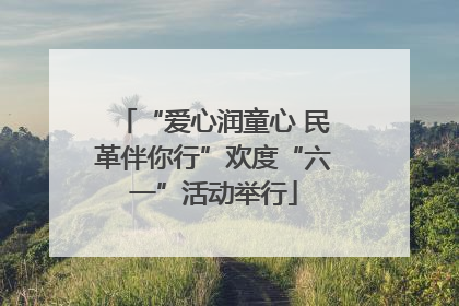 “爱心润童心 民革伴你行”欢度“六一”活动举行