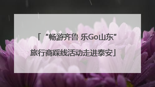 “畅游齐鲁 乐Go山东”旅行商踩线活动走进泰安