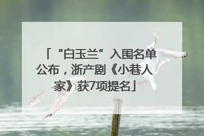 “白玉兰”入围名单公布，浙产剧《小巷人家》获7项提名
