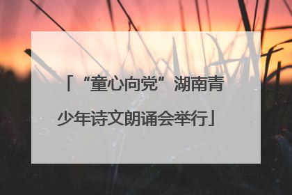 “童心向党”湖南青少年诗文朗诵会举行