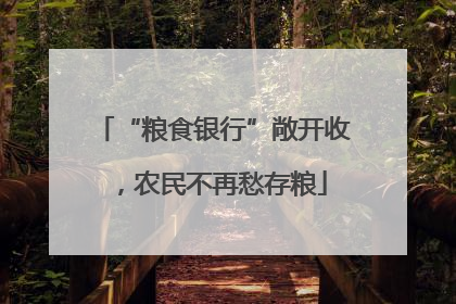 “粮食银行”敞开收，农民不再愁存粮