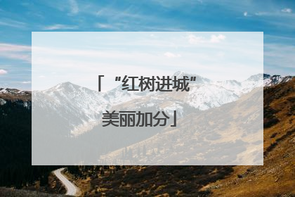 “红树进城” 美丽加分