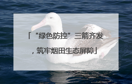 “绿色防控”三箭齐发，筑牢烟田生态屏障