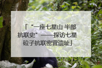 “一座七星山 半部抗联史”——探访七星砬子抗联密营遗址