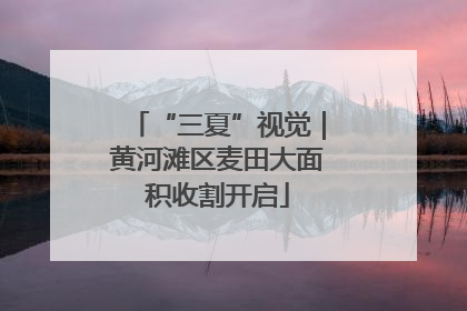 “三夏”视觉｜黄河滩区麦田大面积收割开启