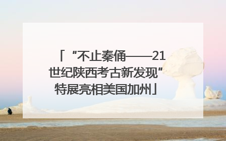“不止秦俑——21世纪陕西考古新发现”特展亮相美国加州