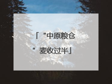 “中原粮仓”麦收过半
