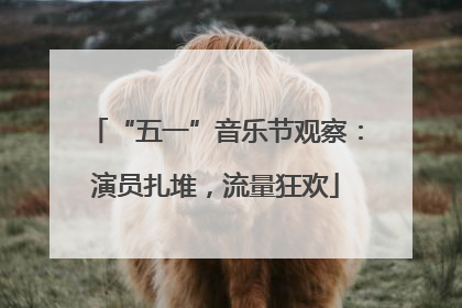 “五一”音乐节观察：演员扎堆，流量狂欢
