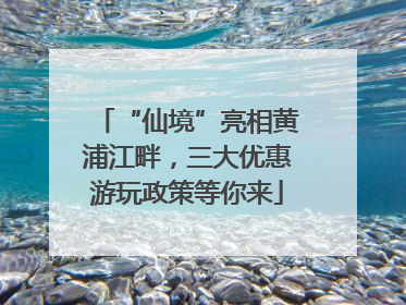 “仙境”亮相黄浦江畔，三大优惠游玩政策等你来
