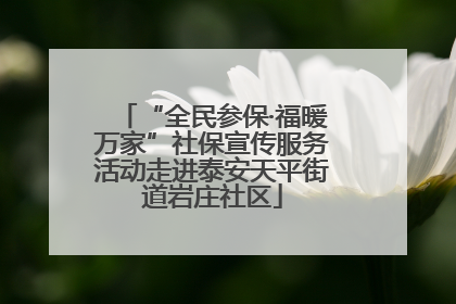 “全民参保·福暖万家”社保宣传服务活动走进泰安天平街道岩庄社区