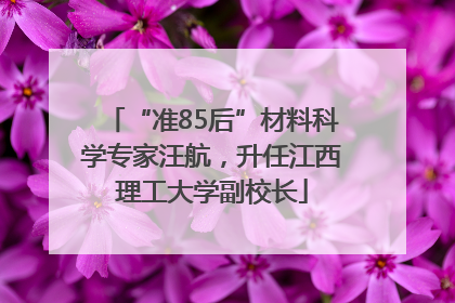 “准85后”材料科学专家汪航，升任江西理工大学副校长