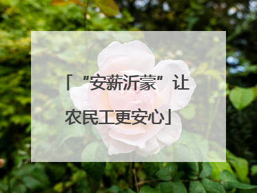 “安薪沂蒙”让农民工更安心
