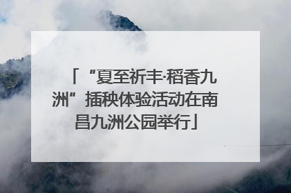 “夏至祈丰·稻香九洲”插秧体验活动在南昌九洲公园举行