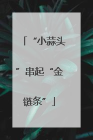 “小蒜头”串起“金链条”