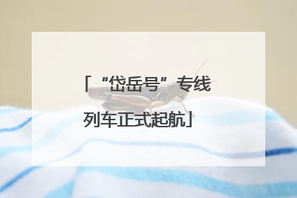 “岱岳号”专线列车正式起航