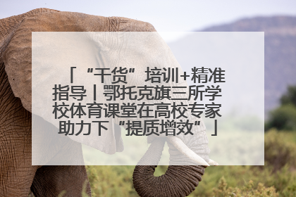 “干货”培训+精准指导丨鄂托克旗三所学校体育课堂在高校专家助力下“提质增效”