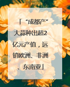 “成都产”大蒜种出超2亿元产值，远销欧洲、非洲、东南亚
