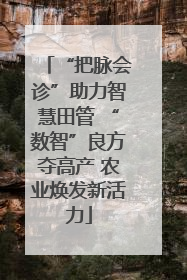 “把脉会诊”助力智慧田管 “数智”良方夺高产 农业焕发新活力