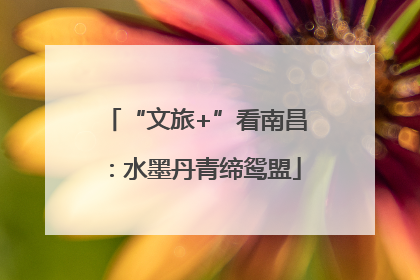 “文旅+”看南昌：水墨丹青缔鸳盟