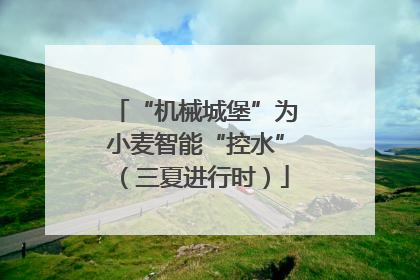“机械城堡”为小麦智能“控水”（三夏进行时）