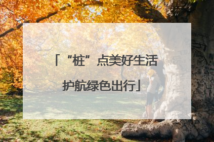 “桩”点美好生活 护航绿色出行