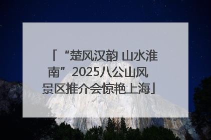 “楚风汉韵 山水淮南”2025八公山风景区推介会惊艳上海