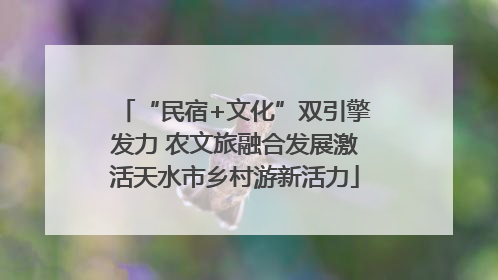 “民宿+文化”双引擎发力 农文旅融合发展激活天水市乡村游新活力