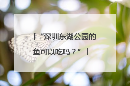 “深圳东湖公园的鱼可以吃吗？”