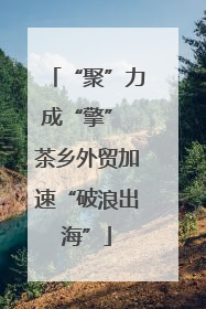 “聚”力成“擎” 茶乡外贸加速“破浪出海”