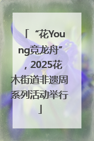 “花Young竞龙舟”，2025花木街道非遗周系列活动举行