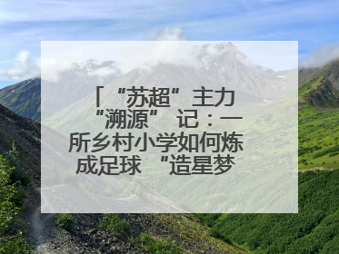 “苏超”主力 “溯源” 记：一所乡村小学如何炼成足球 “造星梦工场”