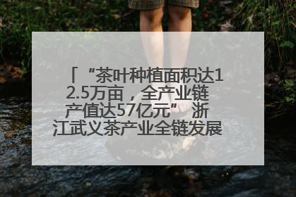 “茶叶种植面积达12.5万亩，全产业链产值达57亿元” 浙江武义茶产业全链发展“加速度”