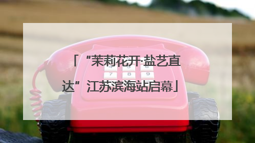 “茉莉花开·盐艺直达”江苏滨海站启幕