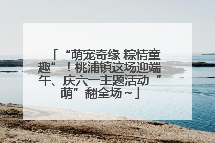 “萌宠奇缘 粽情童趣”！桃浦镇这场迎端午、庆六一主题活动“萌”翻全场～