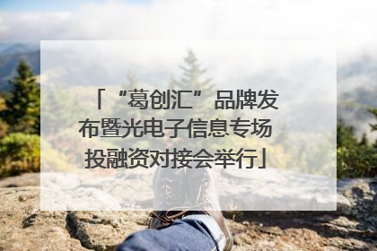 “葛创汇”品牌发布暨光电子信息专场投融资对接会举行