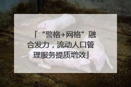 “警格+网格”融合发力，流动人口管理服务提质增效