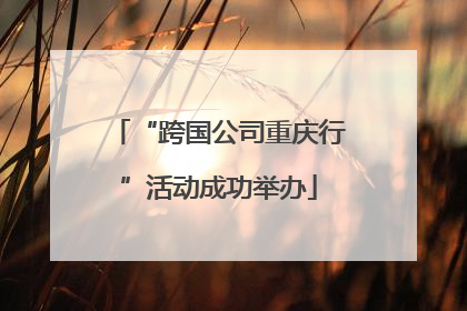 “跨国公司重庆行”活动成功举办