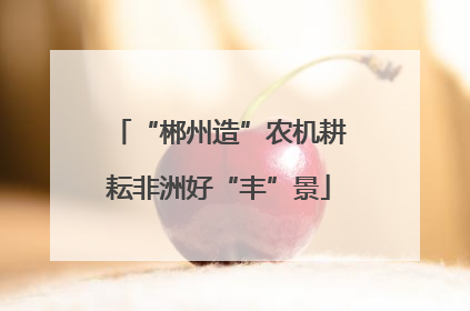 “郴州造”农机耕耘非洲好“丰”景