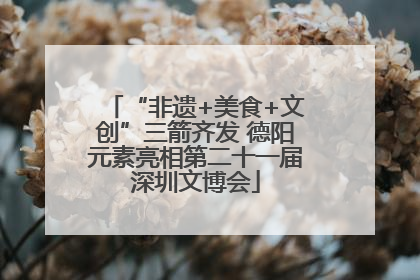“非遗+美食+文创”三箭齐发 德阳元素亮相第二十一届深圳文博会