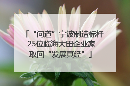 “问道”宁波制造标杆 25位临海大田企业家取回“发展真经”